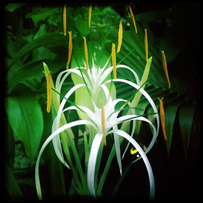 hipstamaticphoto-517883022.754004