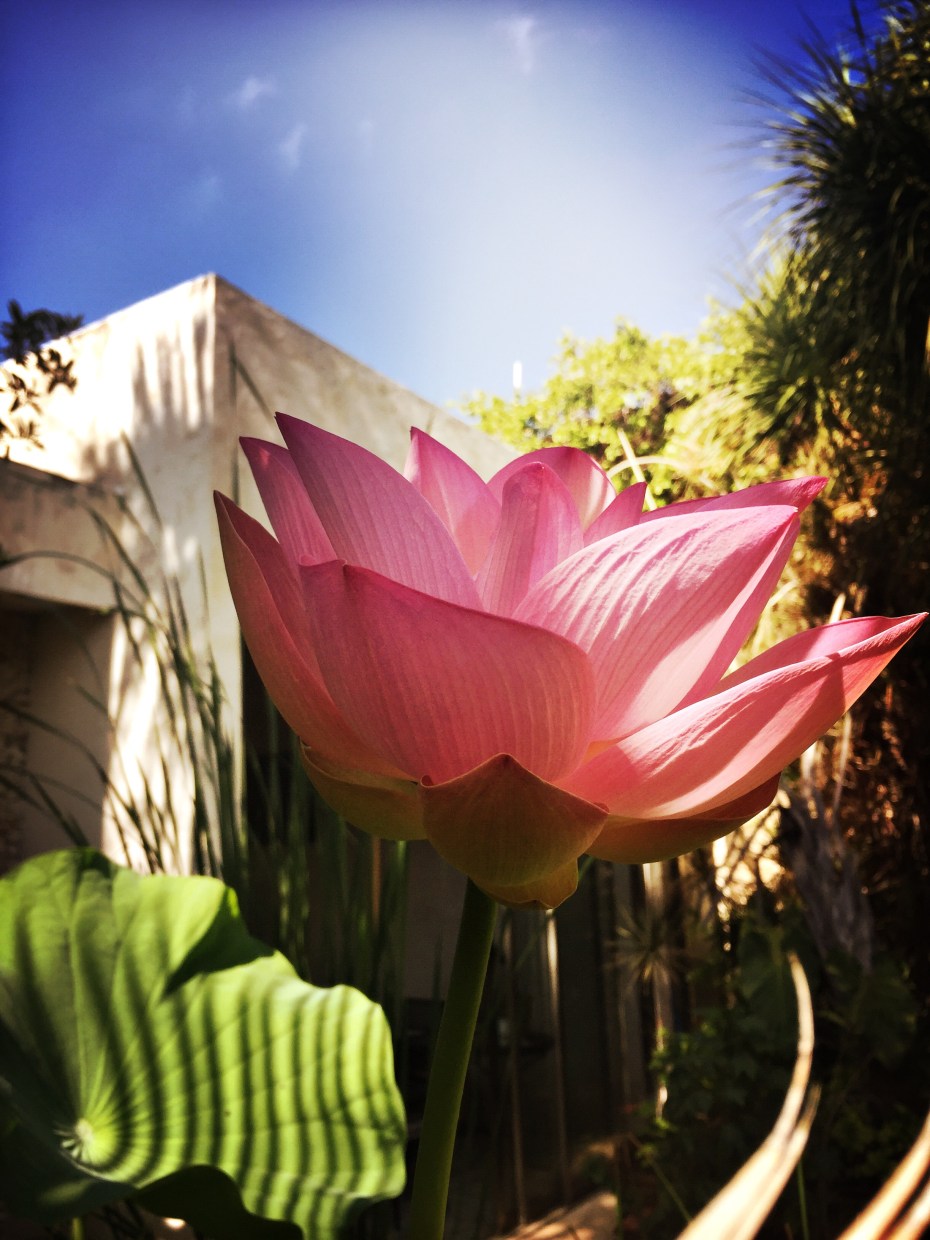 hipstamaticphoto-524328962.660593-2