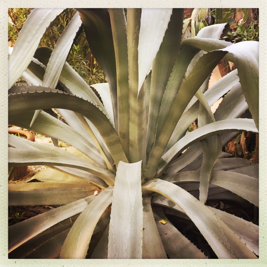 hipstamaticphoto-524847183.715959