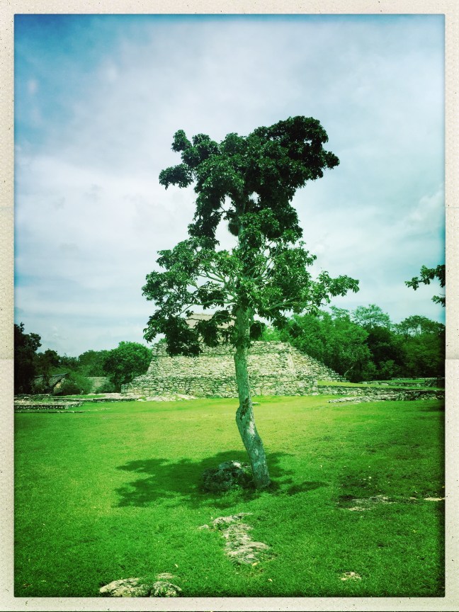 hipstamaticphoto-525045017.633727