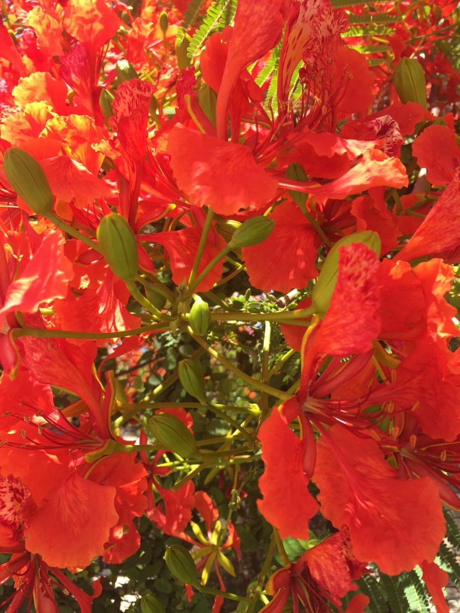 originalphoto-486405738.805447