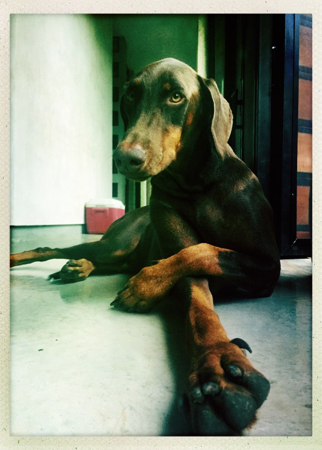 hipstamaticphoto-531011358.153945