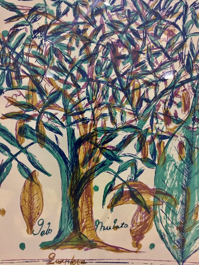 originalphoto-537248006.668139